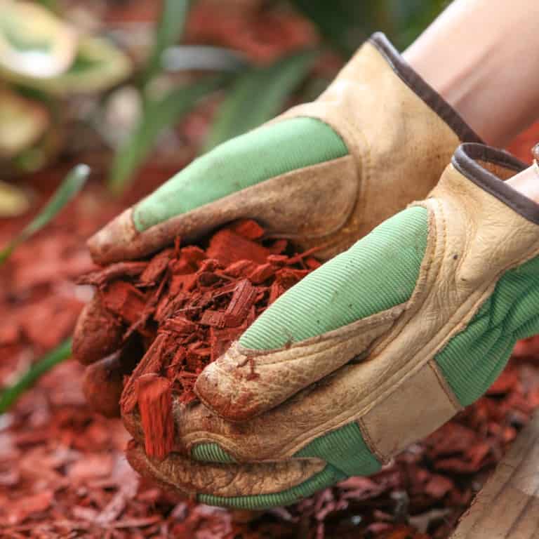 Aménagement paysager