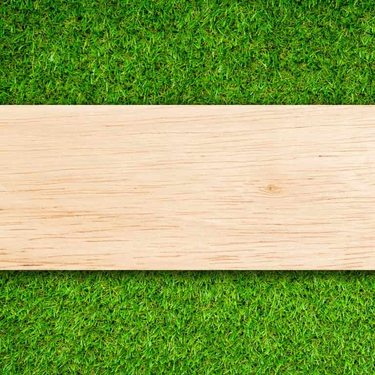 Liens et étiquettes de jardin