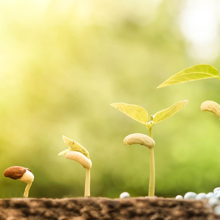 Fertilisants Fertilisants