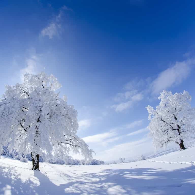 Protection hivernale