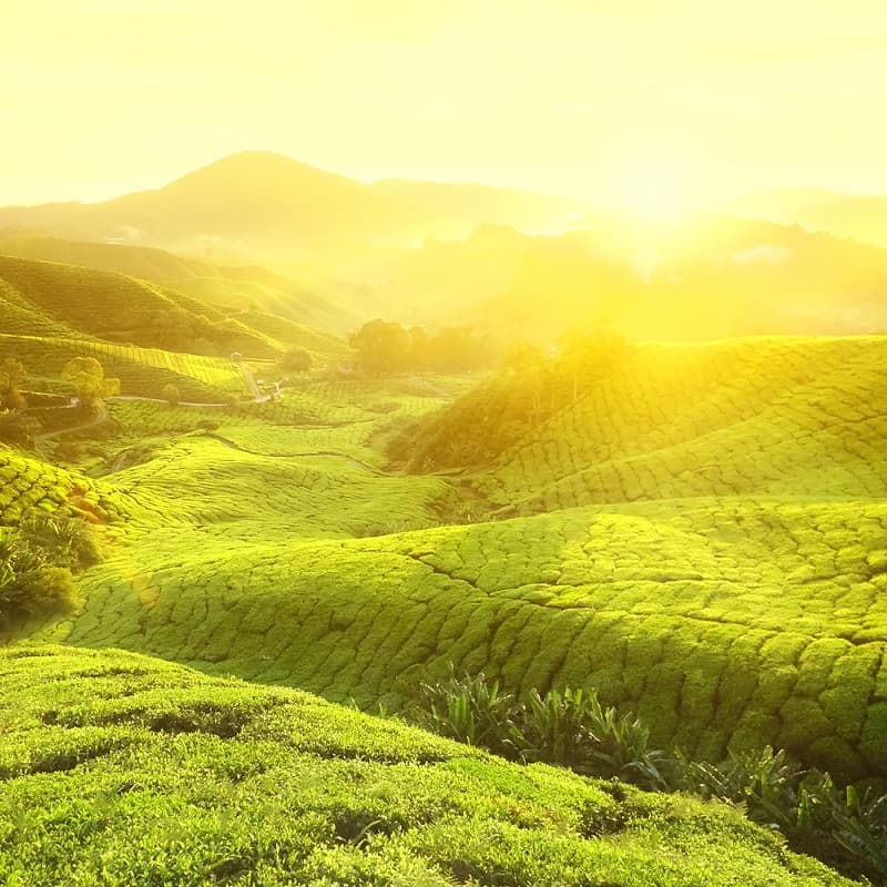 Articles Météorologiques