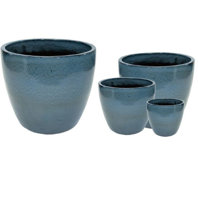 Epipremnum Pinnatum Global Green