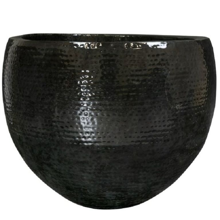 Scindapsus Treubii Dark