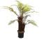 Epipremnum Pinnatum Global Green blad